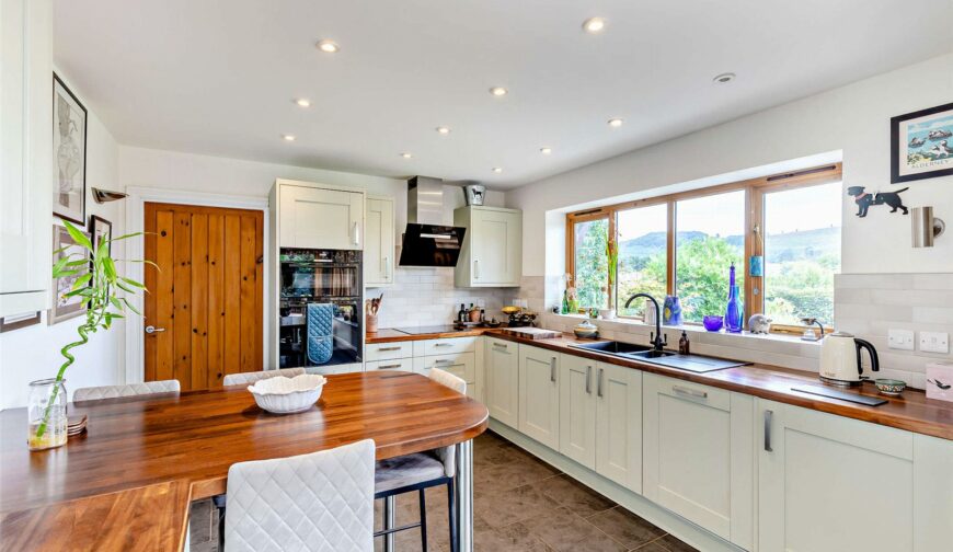 Nanteos, Castle Caereinion - 8