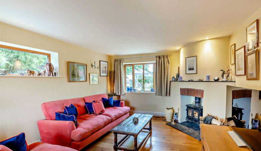 Nanteos, Castle Caereinion - 5