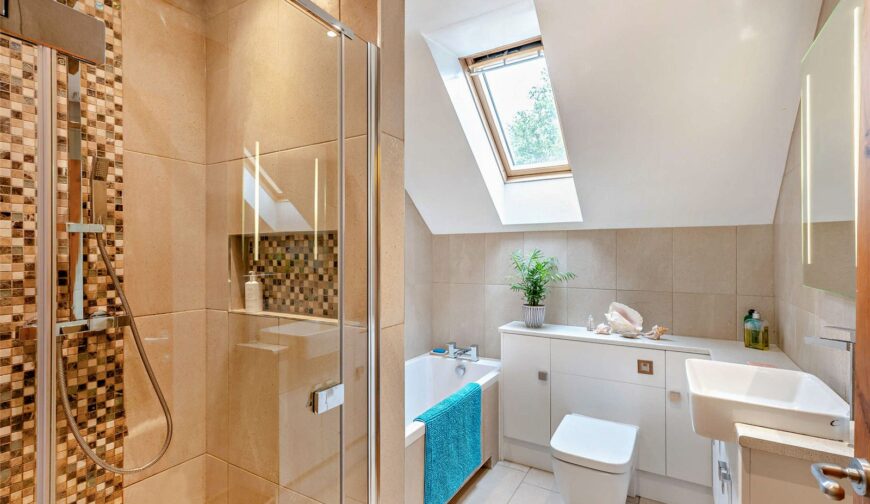 Nanteos, Castle Caereinion - 17