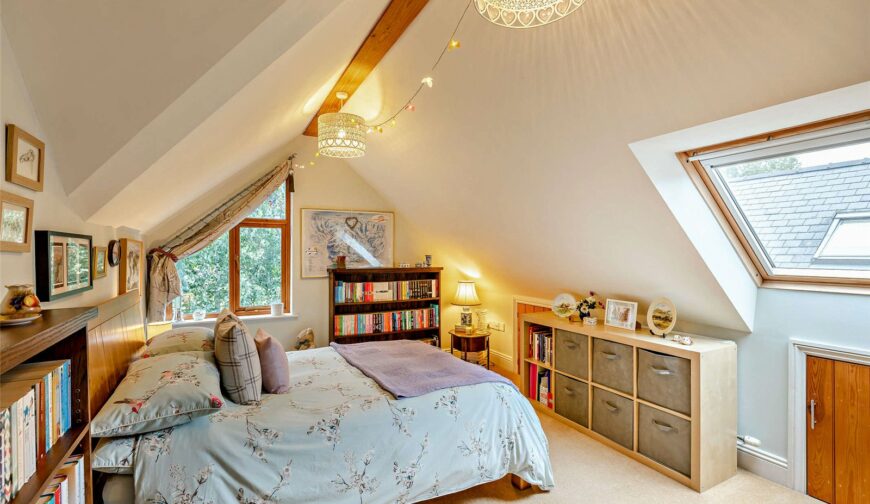 Nanteos, Castle Caereinion - 21