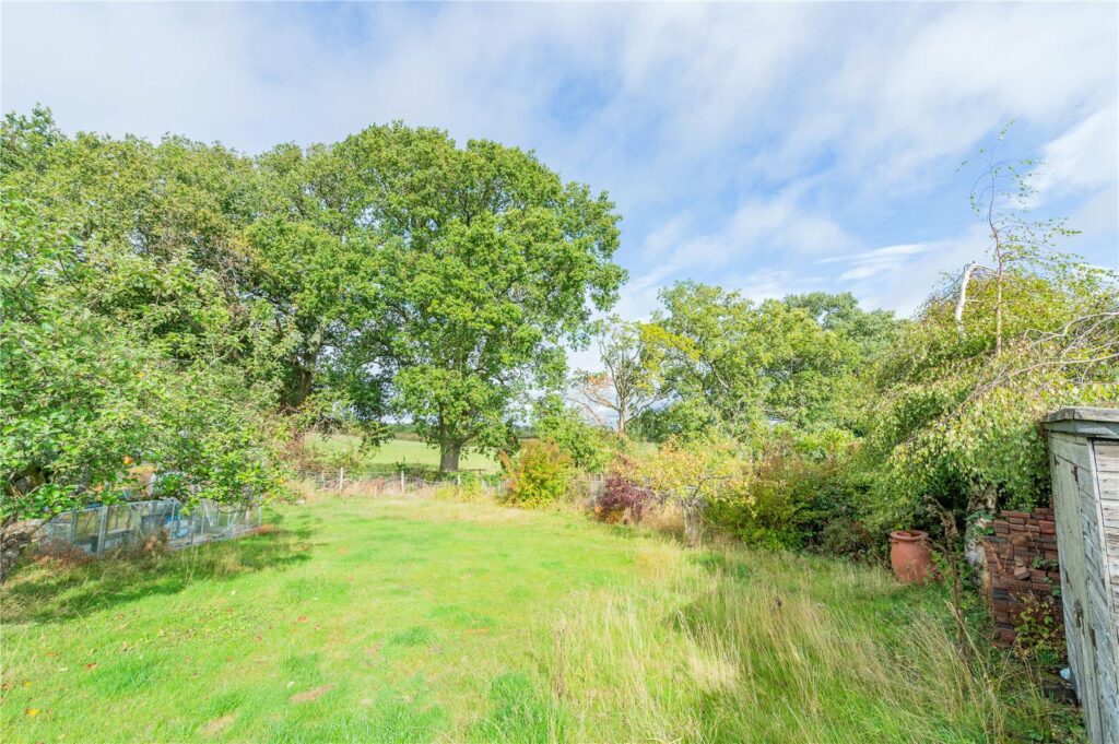 3 The Square - Picture No. 83