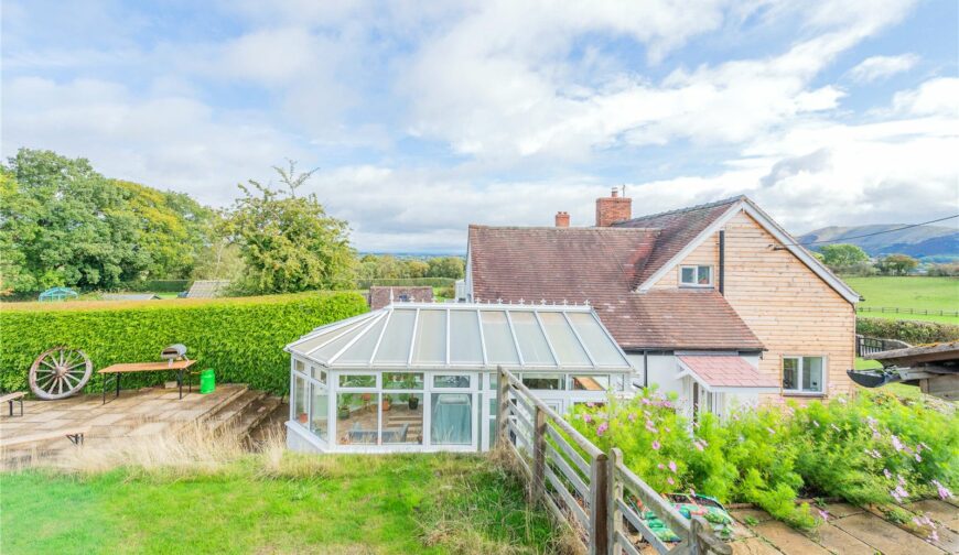 3 The Square - Picture No. 87