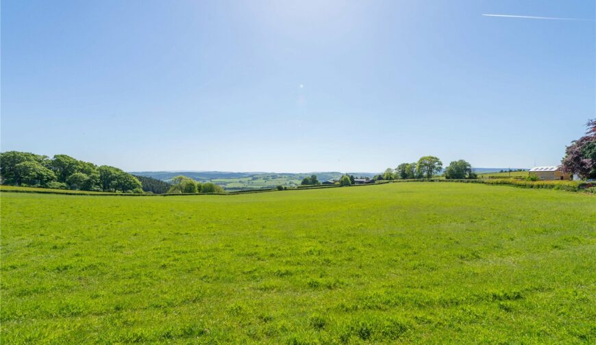 Stonewall Cottage - Picture No. 05