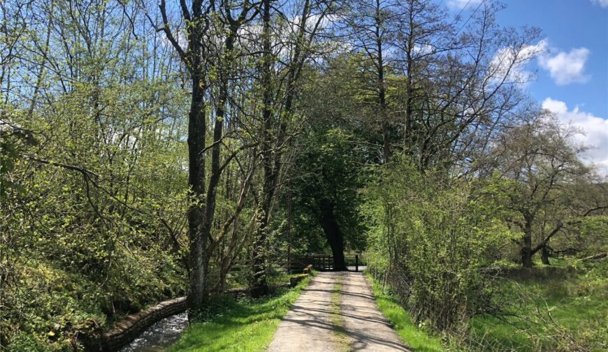 Crug Farm, Llanbister Road - Picture No. 75