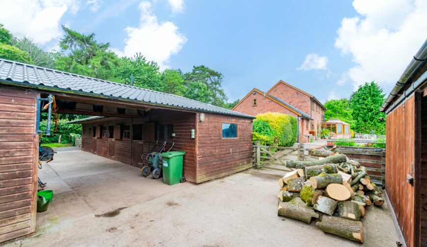 East Meadows, Nash - Picture No. 35