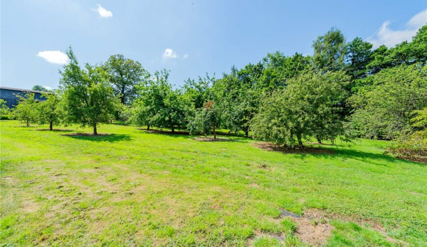 Wainbridge House, Clee St. Margaret - Picture No. 29