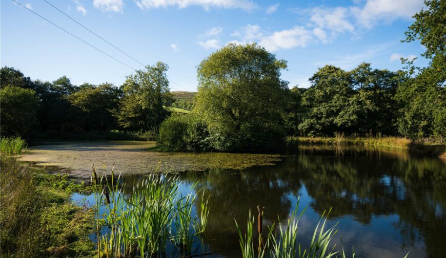 Woodgate Farm, Wall Bank - Picture No. 02