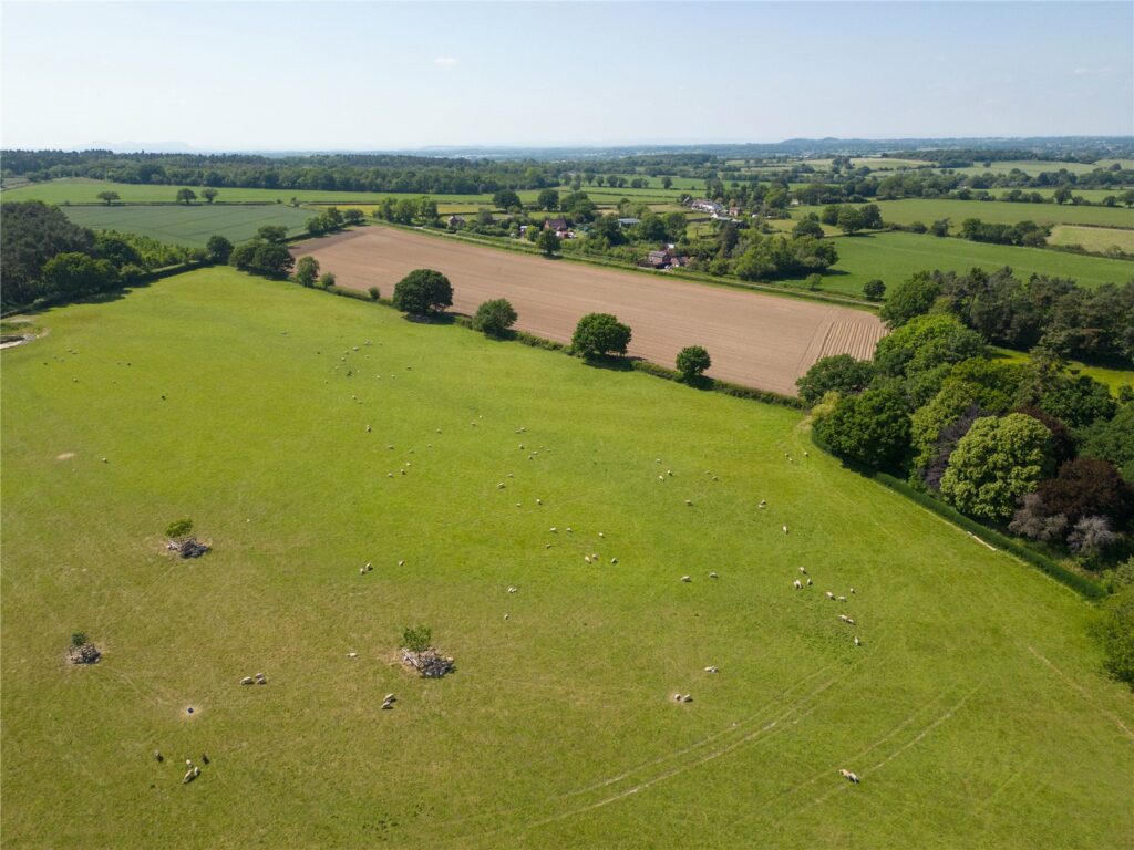 The Somerwood Estate, Somerwood - Picture No. 07