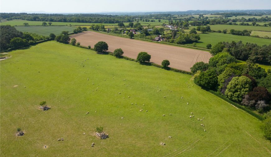 The Somerwood Estate, Somerwood - Picture No. 07