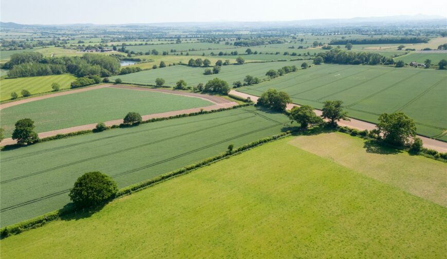 The Somerwood Estate, Somerwood - Picture No. 08