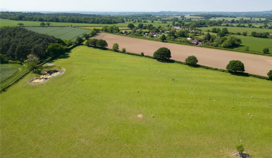 The Somerwood Estate, Somerwood - Picture No. 09