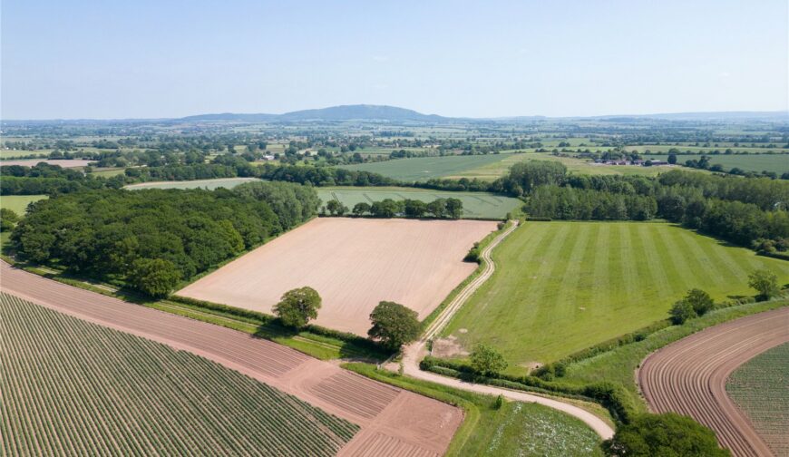 The Somerwood Estate, Somerwood - Picture No. 11