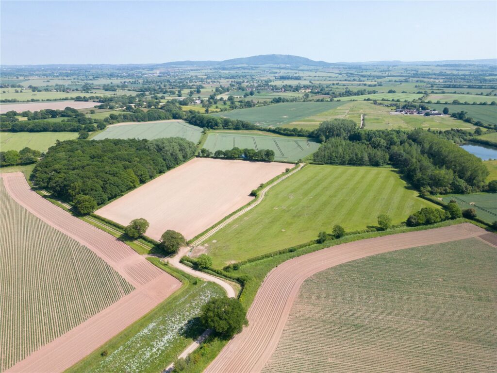 The Somerwood Estate, Somerwood - Picture No. 14