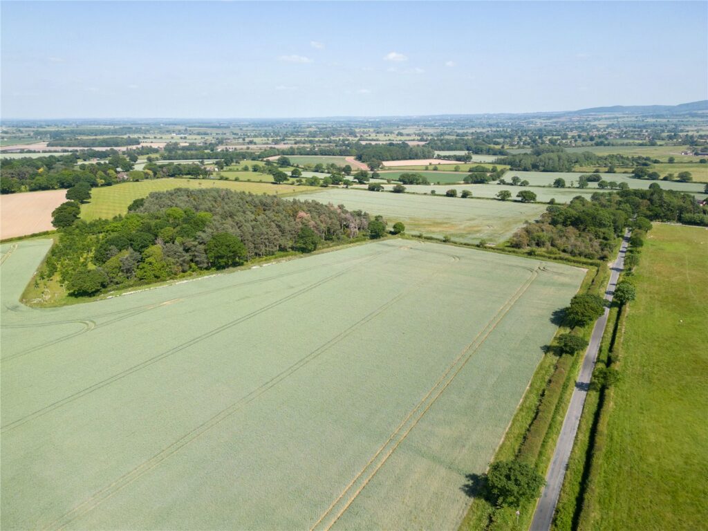 The Somerwood Estate, Somerwood - Picture No. 16