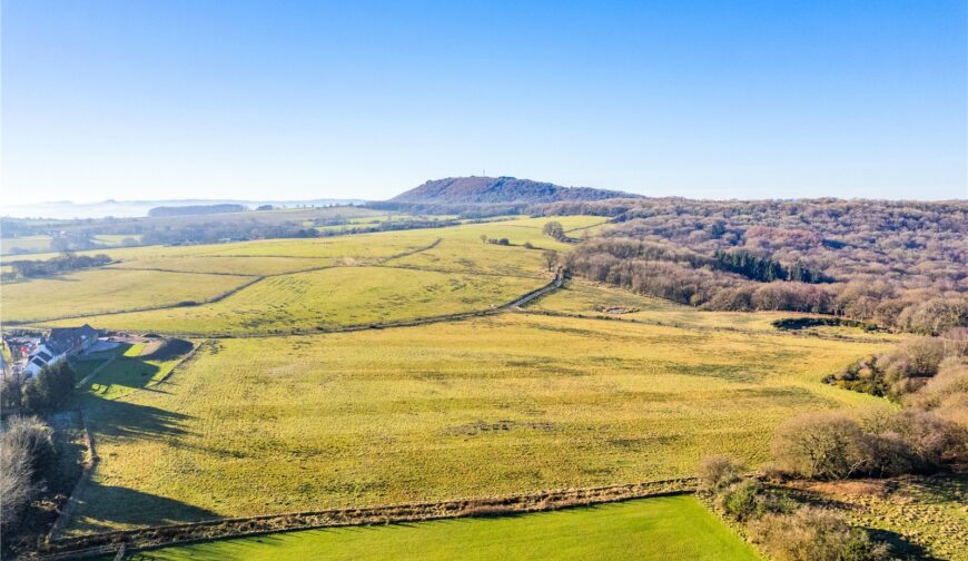 The Old Paddock, New Works - Setting