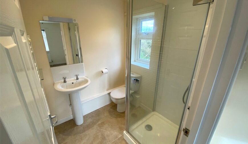 Downton House, Drury Lane - Picture No. 09