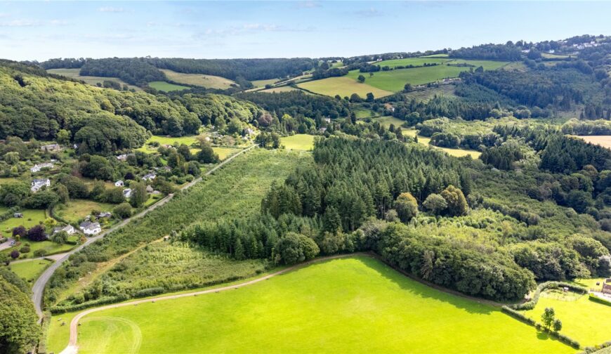 Lindors Wood, The Fence - Picture No. 05