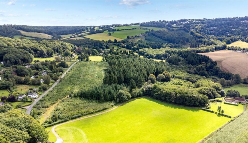 Lindors Wood, The Fence - Picture No. 06