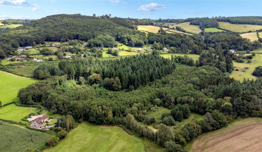 Lindors Wood, The Fence - Picture No. 11