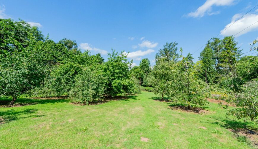 Wainbridge House, Clee St. Margaret - Picture No. 33