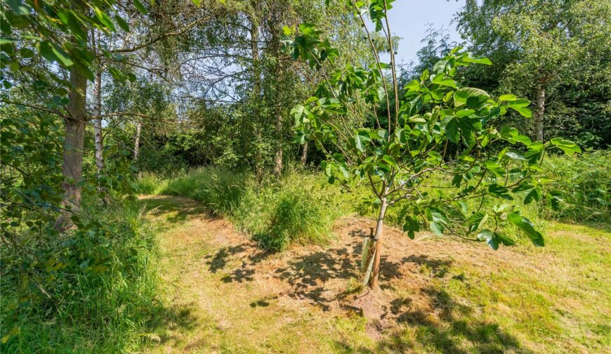 Cedarwood, The Bryn, Hyssington - 23