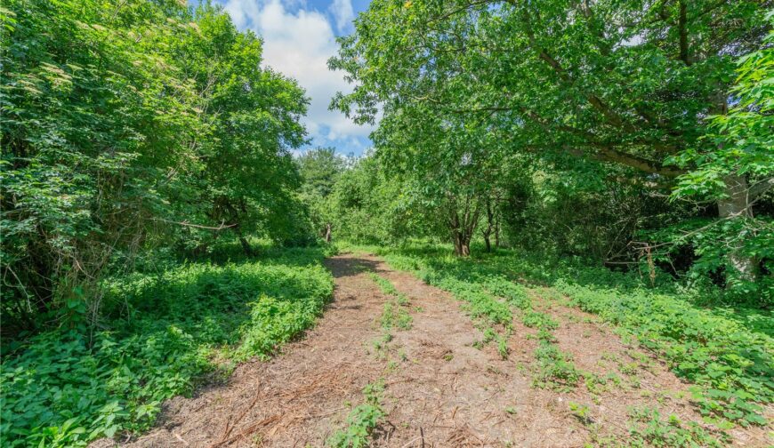 Ty Gwyn, Coed-y-Dinas - 22