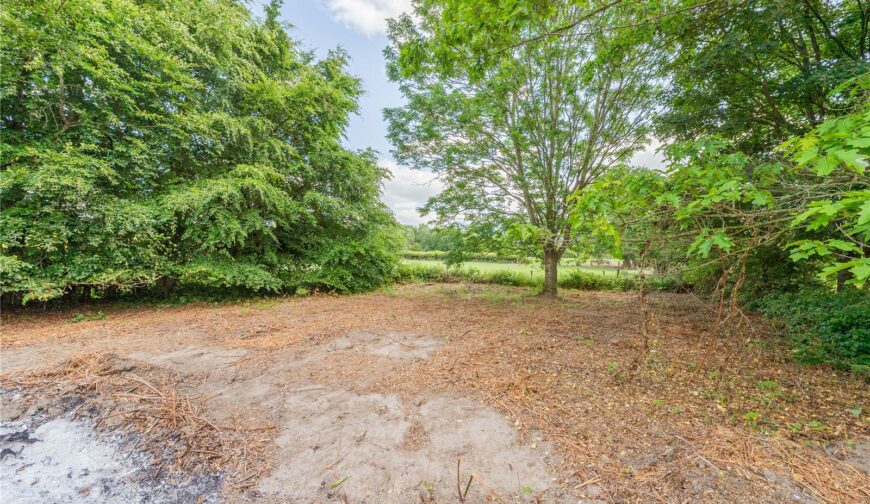 Ty Gwyn, Coed-y-Dinas - 24