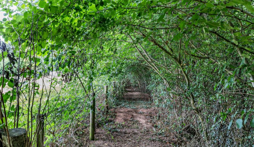 Broomfield Villa, Broomfields - Walk