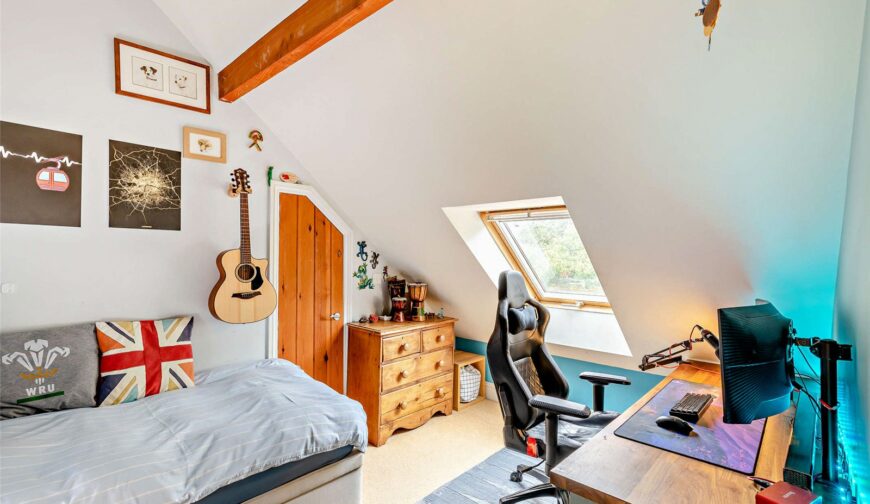 Nanteos, Castle Caereinion - 15