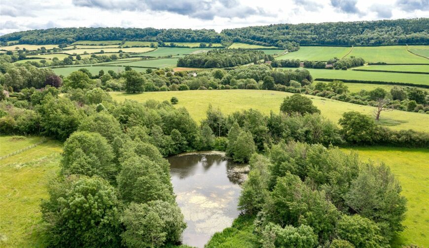 Paddock and Pool Yonder Castle Hill, Harley - Pond