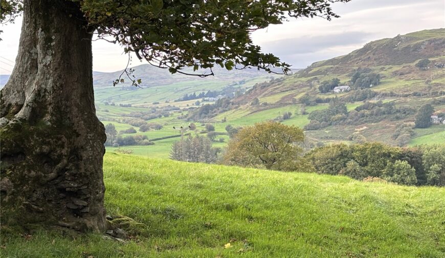 Tyn Y Ffridd, Llangwm - Picture No. 10