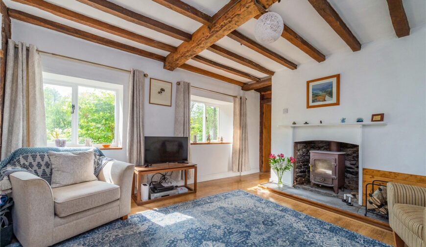 Mill Green, Stansbatch - Picture No. 9