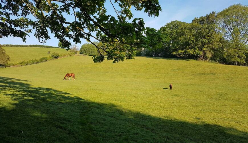 East Meadows, Nash - Picture No. 39