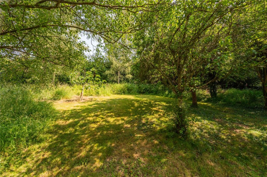 Cedarwood, The Bryn, Hyssington - 22