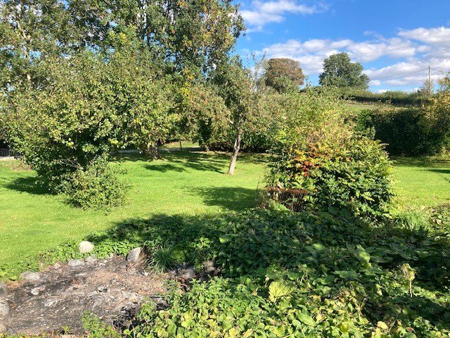 Penffordd Ddu, Llanelidan - Picture No. 02