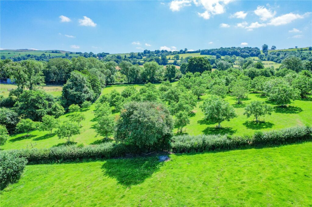 Wainbridge House, Clee St. Margaret - Picture No. 28