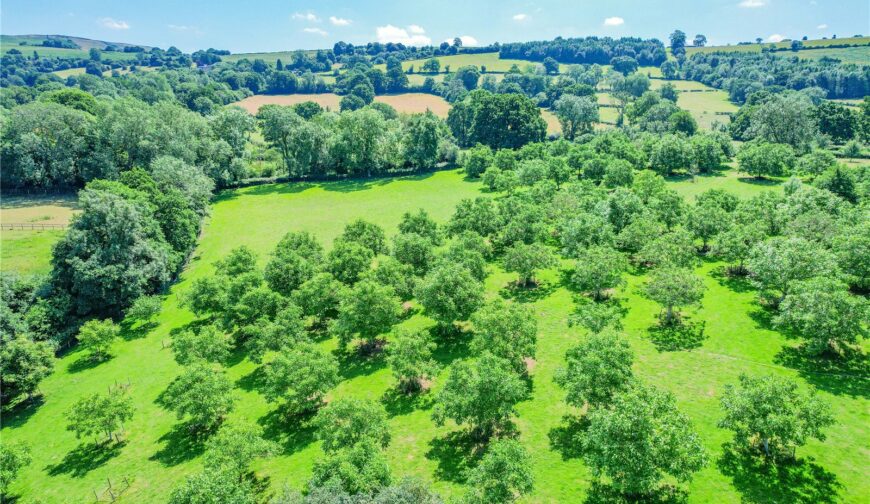 Wainbridge House, Clee St. Margaret - Picture No. 32