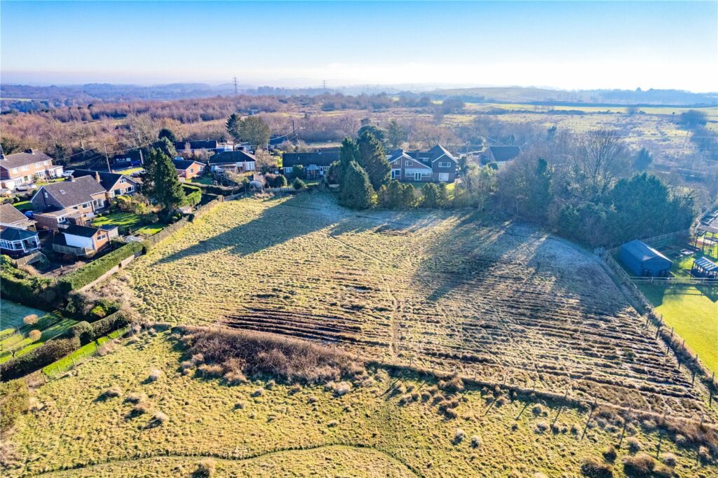 The Old Paddock, New Works - Paddock