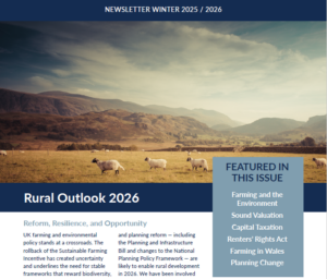 Winter Newsletter 2024/2025