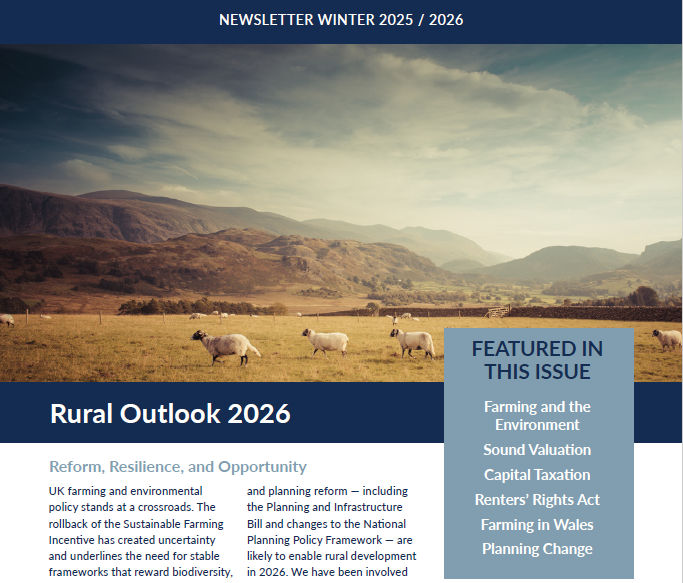 Winter Newsletter 2024/2025