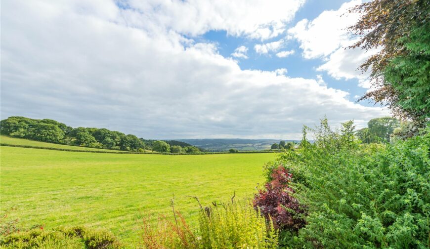 Hergest View, Stonewall Hill - Picture No. 03