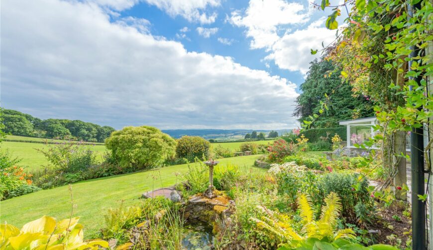 Hergest View, Stonewall Hill - Picture No. 06