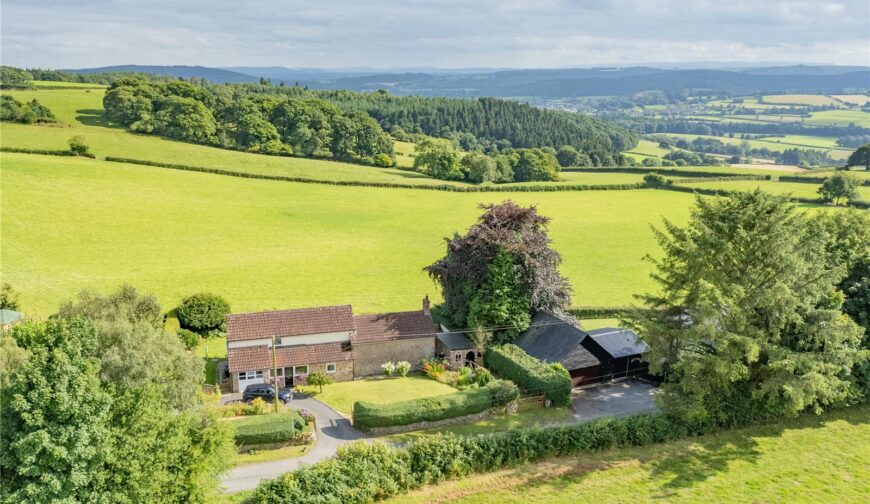 Hergest View, Stonewall Hill - Picture No. 08