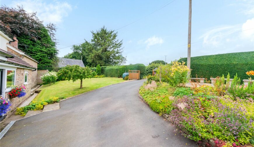 Hergest View, Stonewall Hill - Picture No. 22