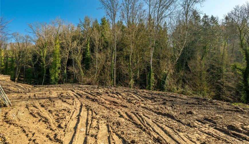 The Forge, Norton - Picture No. 23