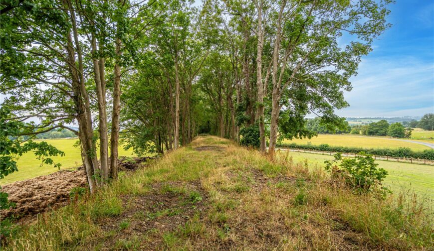 Mill Farm Barns, Bitterley - Picture No. 29