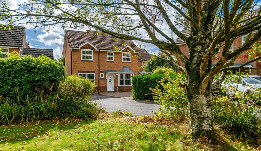 12 Blashfield Road - Picture No. 14