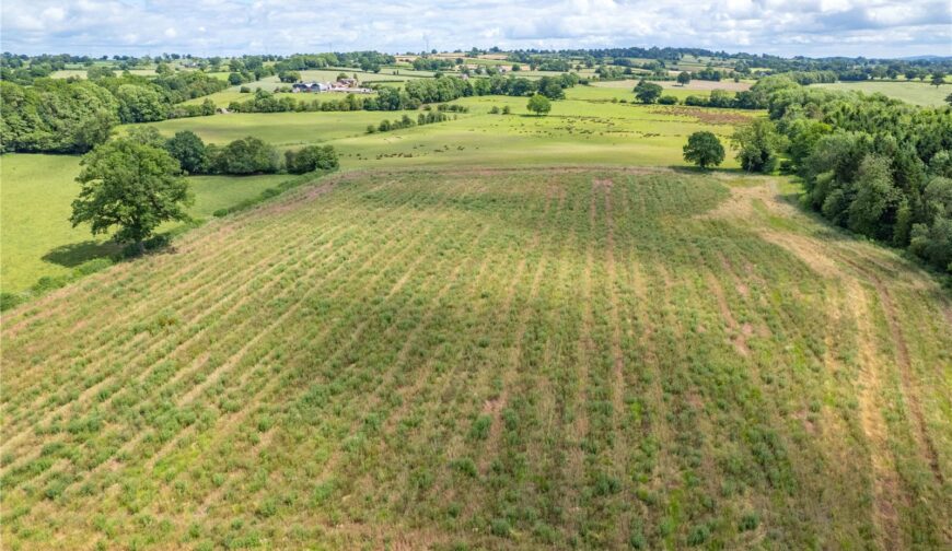 Coed Y Tye Lot 1, Whittington - Land