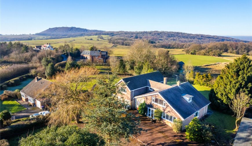 The Old Paddock, New Works - The Old Paddocks