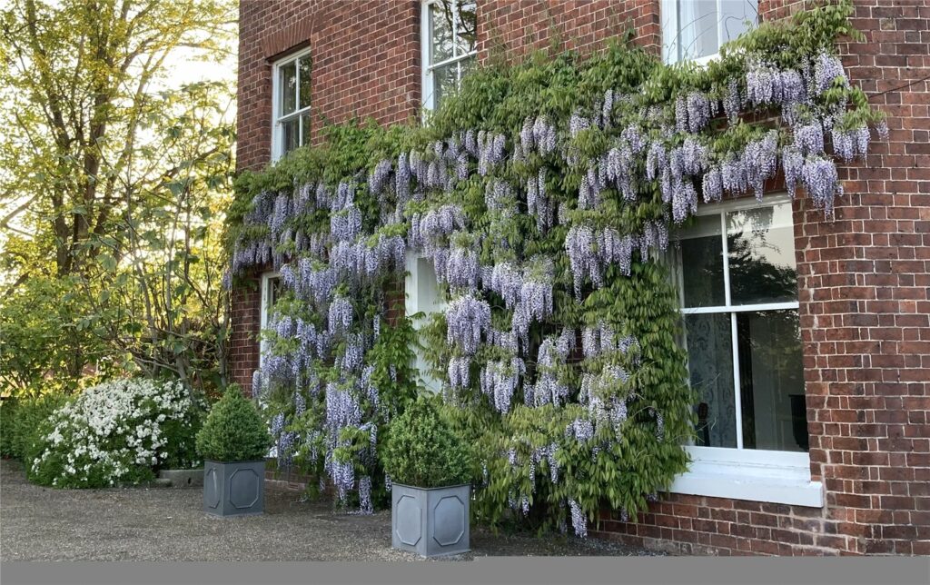 Dorrington House, Dorrington - Gardens